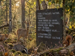 Casa per le vacanze Oud-Turnhout Ambiente 13