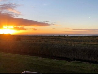 Vakantiehuis Bogense Buitenaudio-opname 6