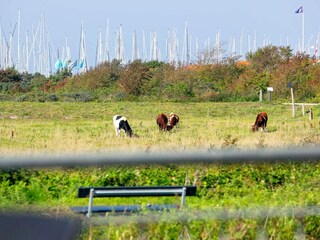 Maison de vacances Bogense  24