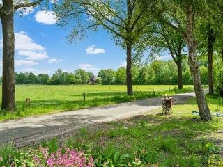 Vakantiehuis Den Ham Omgeving 33