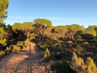 Maison de vacances Vidauban Environnement 38