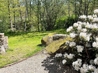 Ferienhaus Backaryd Außenaufnahme 17