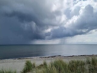 Vakantiehuis Læsø  8