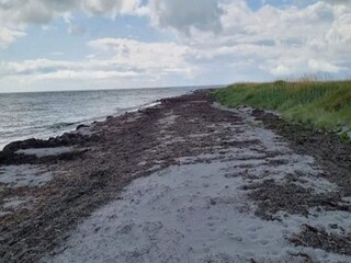 Vakantiehuis Læsø  24