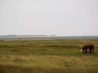 Holiday house Læsø  14