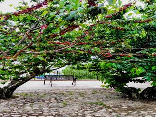 Vakantiehuisje Valle de Abdalajís Buitenaudio-opname 10