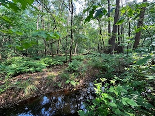 Maison de vacances Zelhem Environnement 37