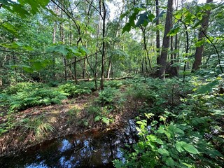 Vakantiehuis Zelhem Omgeving 32