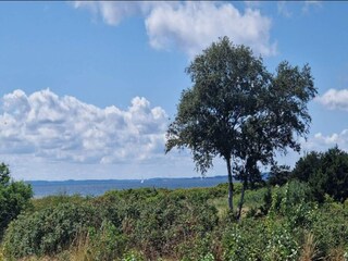 Casa de vacaciones Kegnæs  36