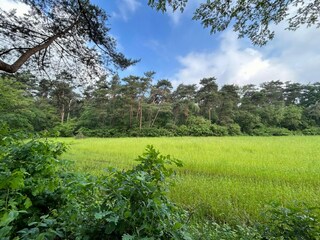 Maison de vacances Zelhem Environnement 34