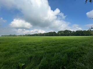 Maison de vacances Zelhem Environnement 32