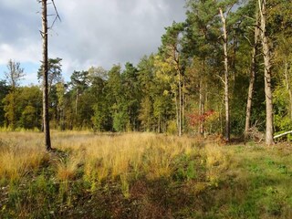 Maison de vacances Zelhem Environnement 31