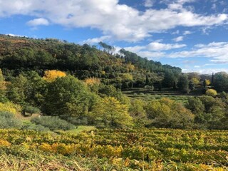 Holiday house Largentière Environment 32