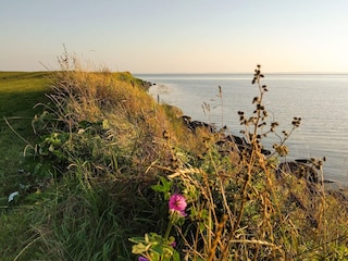 Maison de vacances Kegnæs  5