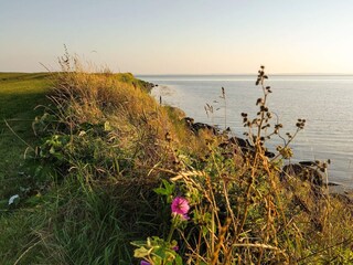 Vakantiehuis Kegnæs  5