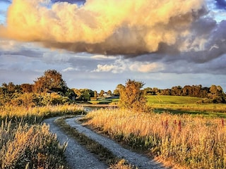 Maison de vacances Kegnæs  14