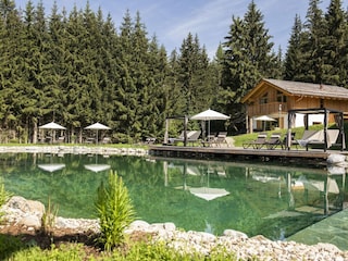 Chalet Tamsweg  21
