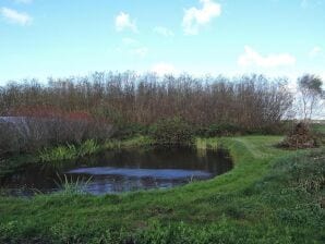 Parc de vacances Studios, Borzyslawiec - Szczecin - image1