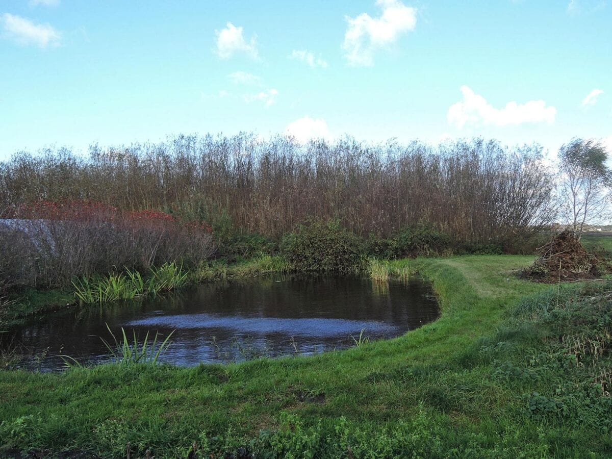 Parc de vacances Stettin Enregistrement extérieur 1