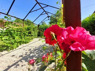 Vakantiehuis Roussines Buitenaudio-opname 16