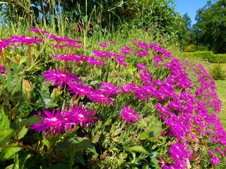 Maison de vacances Roussines Enregistrement extérieur 7