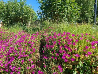 Vakantiehuis Roussines Buitenaudio-opname 2