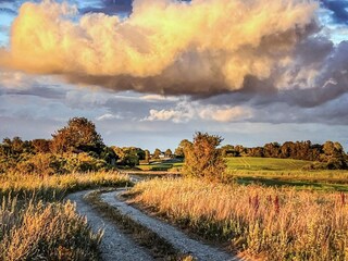 Vakantiehuis Kegnæs Buitenaudio-opname 2