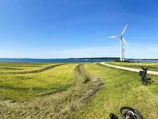 Ferienhaus Kegnæs Außenaufnahme 4
