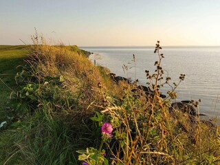 Ferienhaus Kegnæs  18