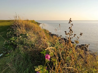 Vakantiehuis Kegnæs  18
