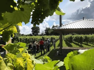 Vakantiehuis Twijzelerheide Omgeving 33