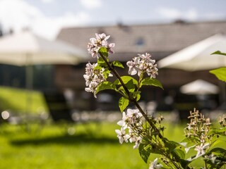 Chalet Tamsweg  28