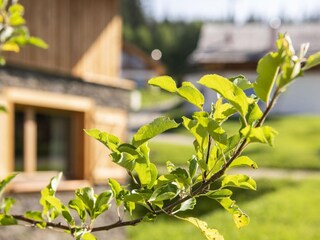 Chalet Tamsweg  37