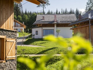 Chalet Tamsweg  19