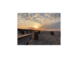 Ferienhaus Zingst Umgebung 26