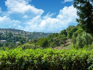 Maison de vacances Les Issambres Environnement 37