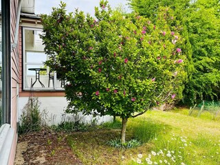 Ferienhaus Lysekil Außenaufnahme 9