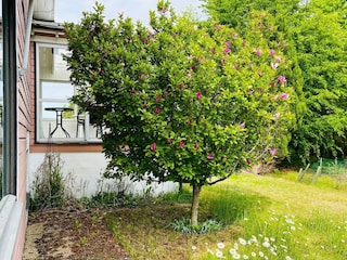 Holiday house Lysekil Outdoor Recording 9