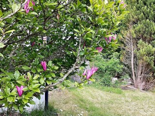 Vakantiehuis Lysekil  21