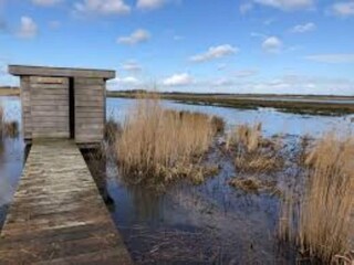 Vakantiehuis Twijzelerheide Omgeving 28