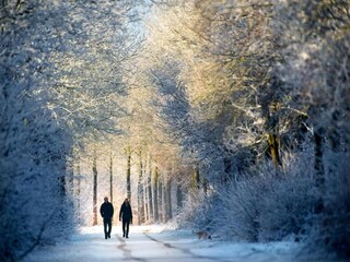 Vakantiehuis Twijzelerheide Omgeving 35