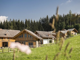 Chalet Tamsweg  13