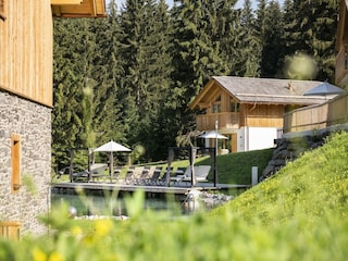 Chalet Tamsweg  14