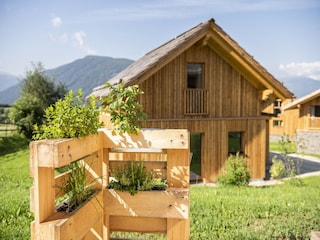 Chalet Tamsweg  19