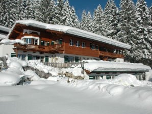 Holiday apartment Top 2 - Reith bei Kitzbuehel - image1