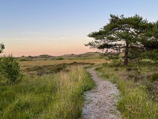 Vakantiehuis Aalbæk  28