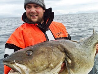 Maison de vacances Arnøyhamn  6