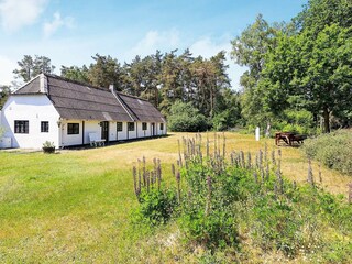Maison de vacances Læsø  11