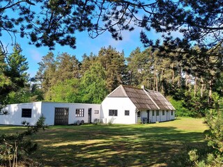 Vakantiehuis Læsø Buitenaudio-opname 3