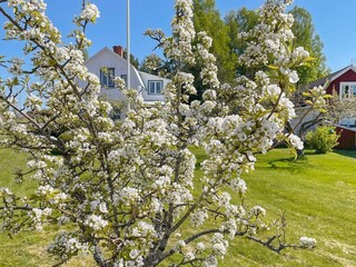 Holiday house Lysvik Outdoor Recording 14